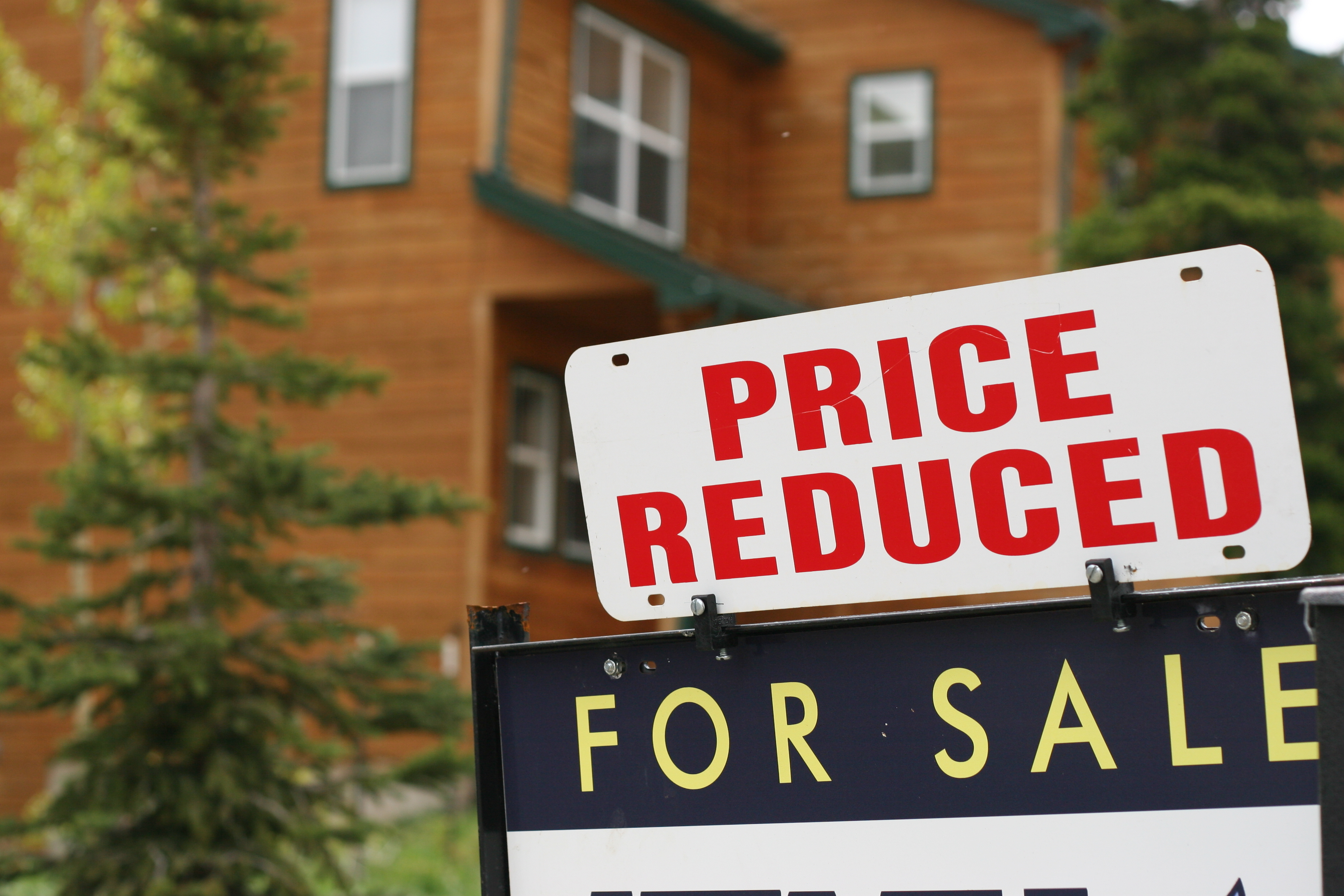 Reduced Price Homes Dominate the Market